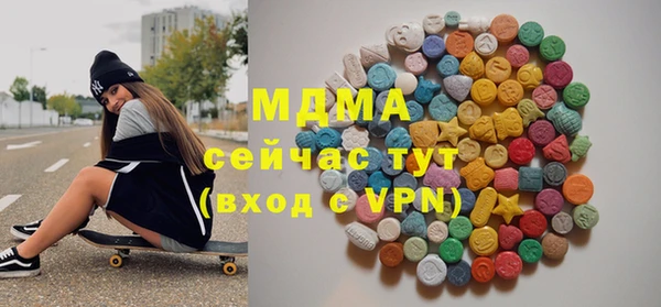 СК Алексин