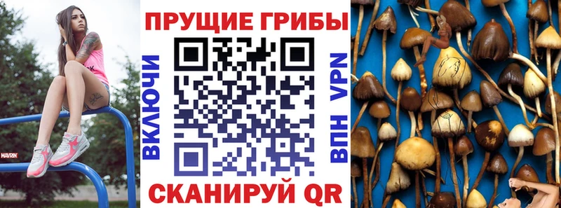 Галлюциногенные грибы Magic Shrooms  ссылка на мегу ссылки  Рязань 